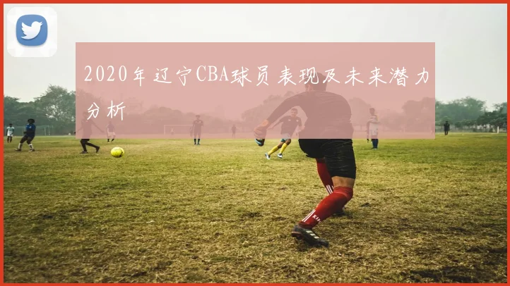 2020年辽宁CBA球员表现及未来潜力分析